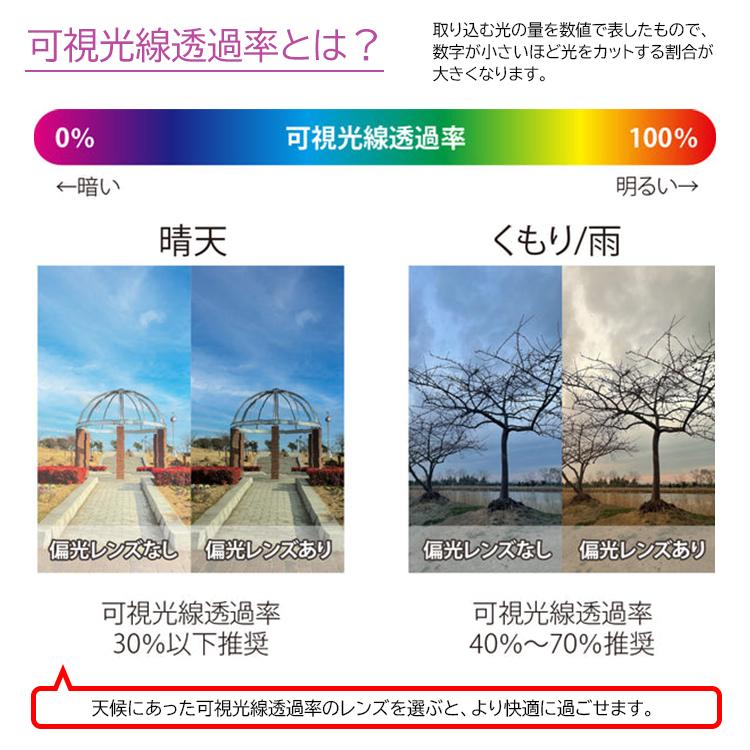 DANG SHADES 偏光 サングラス メンズ レディース UVカット ダン・シェイディーズ LOCO ウェリントン 曇らない ライトカラーレンズ 薄い色 日本製レンズ 釣り ドライブ 運転 - 画像 (5)