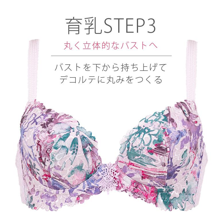 BRADELIS NewYork ブラ ブラジャー下着 補整 補正 谷間 バストアップ ブラデリス bradelis BRNY ジャクリーンステップ3ブラ22S1 ジャクリーンタイプ 0419ks - 画像 (3)