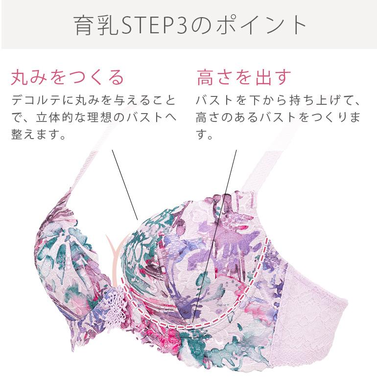 BRADELIS NewYork ブラ ブラジャー下着 補整 補正 谷間 バストアップ ブラデリス bradelis BRNY ジャクリーンステップ3ブラ22S1 ジャクリーンタイプ 0419ks - 画像 (4)