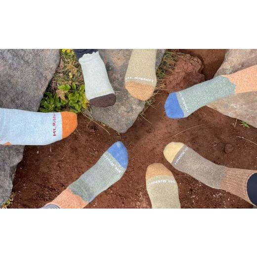 ふるさと納税 靴・スリッパ・下駄 北海道 利尻富士町 利尻山デザイン メンズ用靴下1足(ブラウン) - 画像 (6)