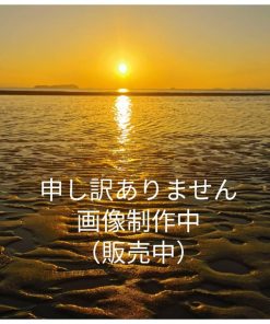 J's select_apparel 跳ね上げ 丸 サングラス メガネ スチームパンク ブラック 男女 (ゴールド)