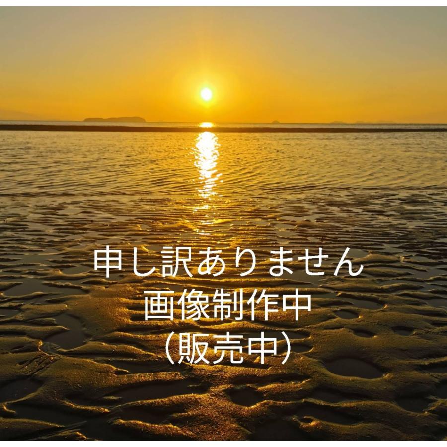 J's select_apparel 跳ね上げ 丸 サングラス メガネ スチームパンク ブラック 男女 (ゴールド)